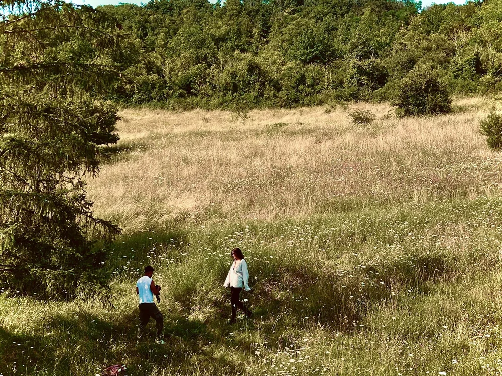 Walk the fields, follow the river