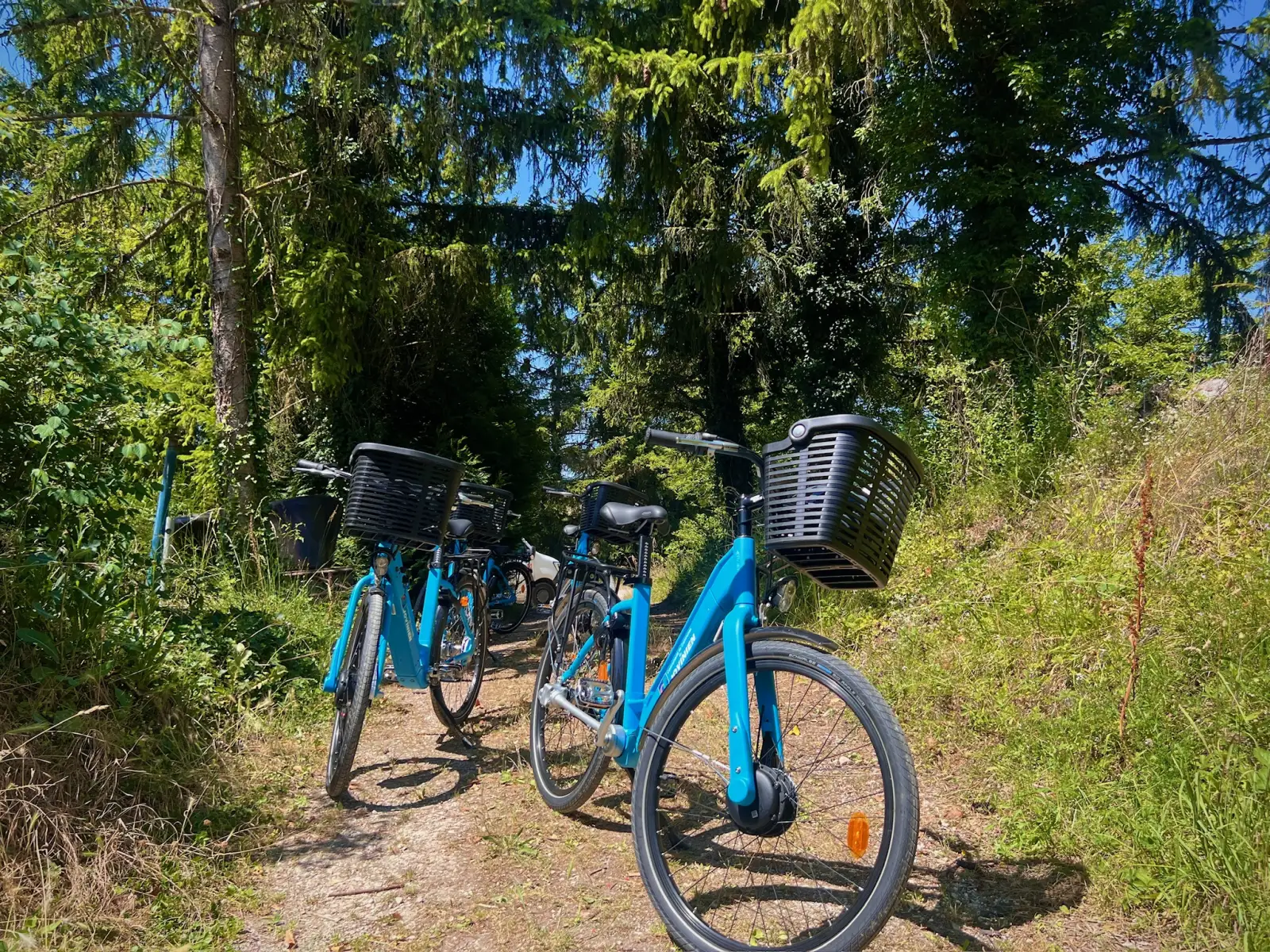 The cycling paths